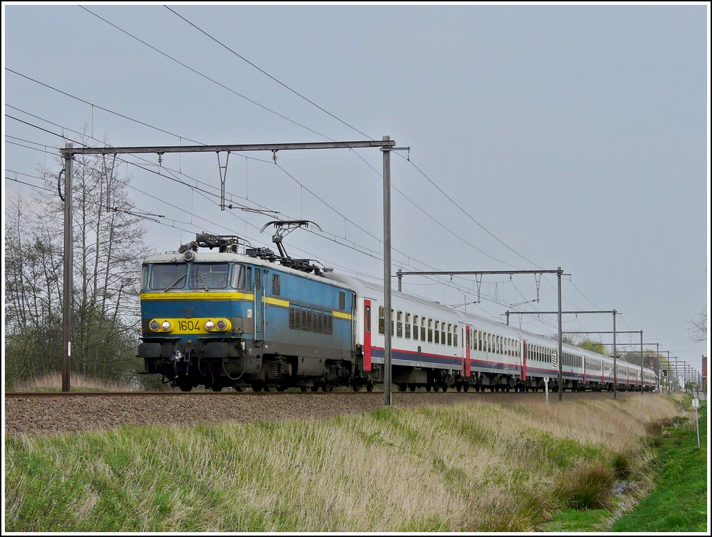Die S�rie 16: 1966 war die Linie Br�ssel-K�ln vollst�ndig elektrifiziert und die SNCB ben�tigte Lokomotiven, welche unter 4 verschiedenen Stromsystemen fahren konnten. Aus der vor 3 Jahren gebauten S�rie 15 wurde die S�rie 16 (Typ 160) abgeleitet, der wichtigste Unterschied bestand darin, dass diese Loks nun unter den 4 Stromsystemen fahren konnten: 3 kV (Belgien), 1.5 kV (Niederlande/Frankreich), 25 kV (Frankreich) und 15 kV (Deutschland). 

Seit ihrer Auslieferung wurden die Loks der S�rie 16 auf der Linie Oostende-Br�ssel-K�ln  eingesetzt. Sie erledigten aber auch die Verbindungen Br�ssel-Paris und Br�ssel-Luxemburg. 1974 wurden die HLE 1601 und 1602 mit einem vierten kleineren Stromabnehmer ausgestattet, welcher ihnen erlaubte bis in die Schweiz nach Spiez zu fahren. Dieser Zug trug den sch�nen Namen „Freccia del Sole“ und stellte die l�ngste Strecke dar, die je von belgischen Lokomotiven bew�ltigt wurde. 1975 wurde er aber gek�rzt und fuhr nur noch bis Basel, bevor er 1978 ganz eingestellt wurde. Die Loks der S�rie 16 zogen au�erdem die internationale Z�ge Jan Kiepura  und den EN Donauwalzer. 

Nachdem die Linie Oostende-Br�ssel-K�ln am 15. Dezember 2002 eingestellt wurde, waren die Loks der S�rie 16 arbeitslos, bevor sie kurze Zeit sp�ter die Verst�rkungsz�ge (trains P) Oostende-Schaerbeek und Welkenraedt-Br�ssel �bernahmen, bis sie 2010 definitiv aus dem Verkehr gezogen wurden.  Auch von dieser S�rie werden 2 Exemplare f�r die Nachwelt erhalten bleiben: die HLE 1602 von der SNCB Holding und die HLE 1608 vom Verein PFT-TSP. 

Das Bild zeigt die HLE 1604 bei einem ihrer letzten Eins�tze, dem Ziehen des Verst�rkungszuges Schaerbeek-Oostende in Hansbeke am 10.04.2009. (Jeanny)