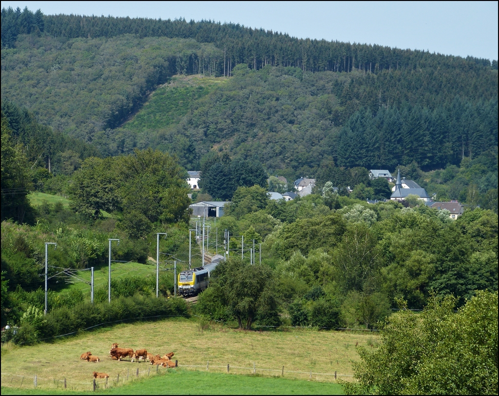 In der br�tenden Hitze des 19.08.2012 durchf�hrt der IR 115 Liers - Luxembourg das idyllische Tal der Clerve zwischen Enscherange und Wilwerwiltz und wird in K�rze den Bahnhof von Wilwerwitz ereichen. (Jeanny)
