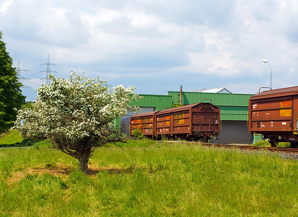 Private gedeckte G�terwagen mit Schiebew�nden und Schiebedach der Gattung Tbis 869 - Bauform A der Westerwald WEBA abgestellt am 08.06,2013 in Weitefeld am Werksanschluss. 
Links unbek., Mitte WEBA 07 (ex 10 80 DB 071 5 001-5) und Rechts WEBA 08 (ex 10 80 DB 071 5 002-3).
Technische Daten:
L�nge �ber Puffer: 14.020 mm
Ladel�nge:12.774 mm
Ladebreite: 2.670 mm
Radstand: 8.000 mm
Eigengewicht: 18,5 bzw. 18,3 t
Ladefl�che: 33,0 m�
