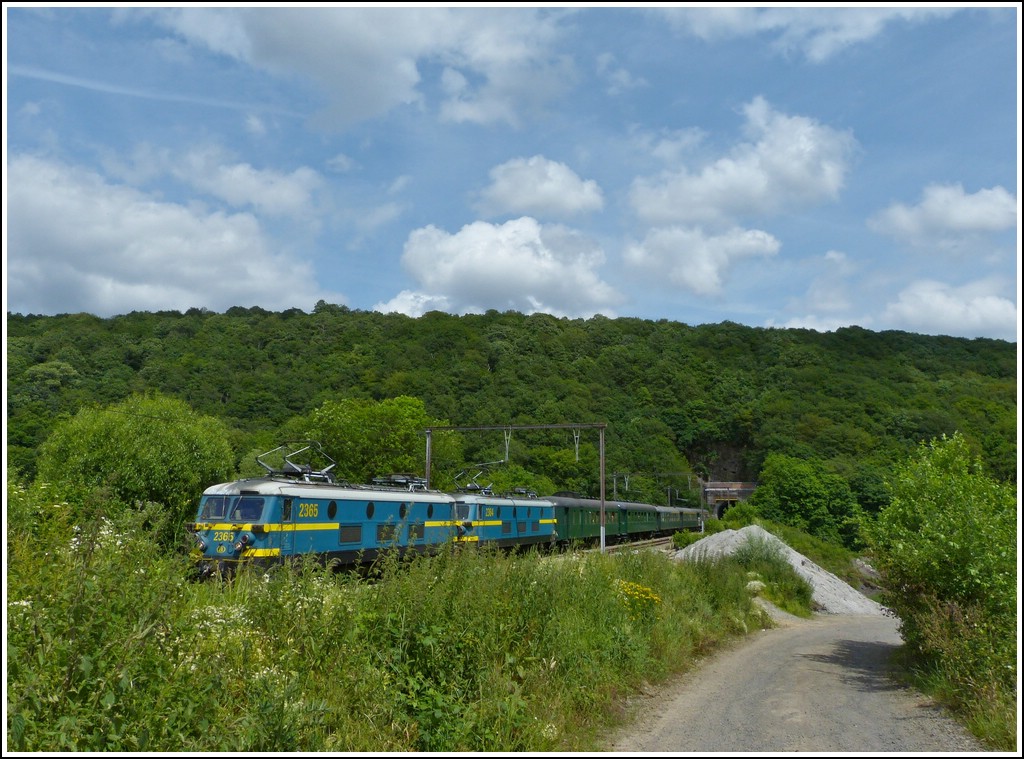 Wenn man dann auch noch klein ist, bleibt einem nur den Sonderzug im Gr�nen zu fotografieren bei der Ausfahrt aus dem Tunnel in Landelies. 23.06.2012 (Jeanny)