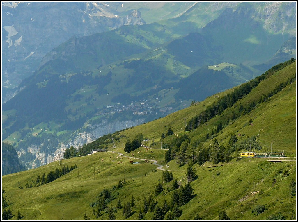 Wenn Margaretha dies �berlebt hat (und das hat sie ja), dann wird sie auch noch andere Sachen �berleben und genie�en. ;-) Eine WAB Einheit begibt sich auf den Weg von der Kleinen Scheidegg nach Lauterbrunnen. 30.07.2008 (Hans)
