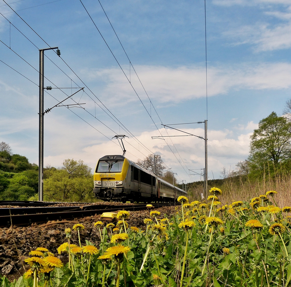 . Die 3013 zieht am 25.04.2014 den IR 119 Liers - Luxembourg durch das bl�hende Tal der Clerve zwischen Drauffelt und Enscherange. (Jeanny)