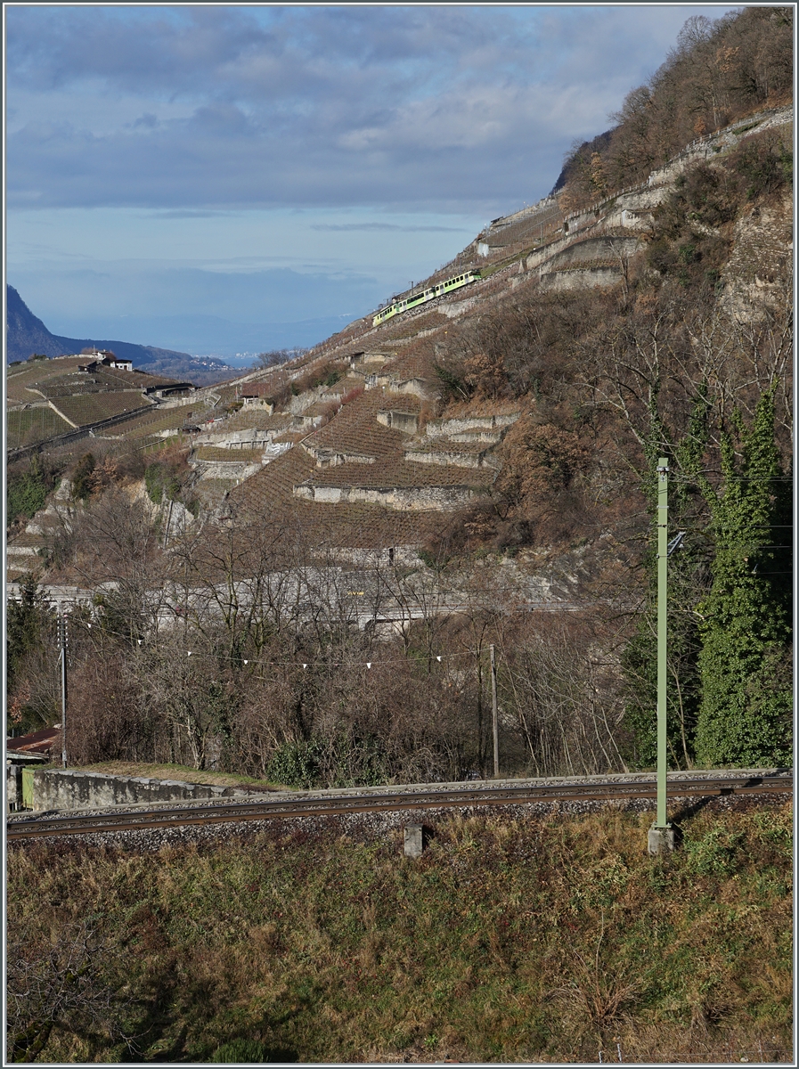  ... hier fehlte nur noch ein AL-Zug auf der AL-Strecke im Hintergrund...  nun Armin, den liefere ich dir hiermit nach, dafür fehlt leider der ASD Zug im Vordergrund. 
Ein BDeh 4/4 schiebt zwei Beiwagen/Steuerwagen bei Aigle über die steile Zahnradstrecke in Richtung Leysin.

4. Jan. 2024