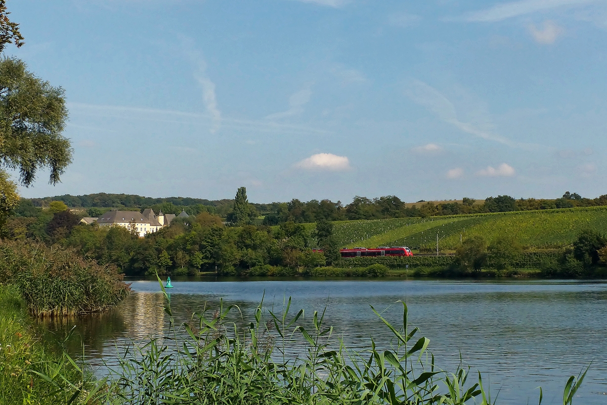 . Motiv verdeckt - Ein unbekannt gebliebener vierteiliger Triebzug der BR 442 bef�hrt am 17.09.2014 die Obermoselstrecke zwischen Nennig und Palzem und kann vom Moselufer in Remich (L) aus fotografiert werden. W�hrend der Zug sich noch im Saarland befindet, wird er bald das Schloss Thorn erreichen, welches schon in Rheinland-Pfalz steht. (Jeanny)

Auf einer Moselanh�he in Palzem im Ortsteil Kreuzweiler erhebt sich das Schloss Thorn. Der Name stammt vom Lateinischen turis (= Turm). Dieser wurde vor ungef�hr 2000 Jahren zum Schutz einer Furt als Mosel�bergang errichtet. Die Burg wurde im 13. Jahrhundert erbaut. Bauliche Erweiterungen im 16. und 17. Jahrhundert sowie das Herrschaftshaus vom Jahre 1800 bilden eine imposante Baugruppe. Ein Rundturm wurde bei der Bombardierung 1945 zerst�rt, der zweite Turm, ein rechteckiger ehemaliger Wohnturm, dient heute als Torturm. Thorn sah vom Mittelalter an verschiedene Geschlechter als Lehnsmannen, so die Herren von Rollingen, die von B�bingen und die von Musiel. Heutiger Inhaber ist die Familie Baron von Hobe-Gelting. Thorn ist das �lteste Schlossweingut an der Mosel. Sehenswert ist die einzig erhaltene Baumkelter Europas.