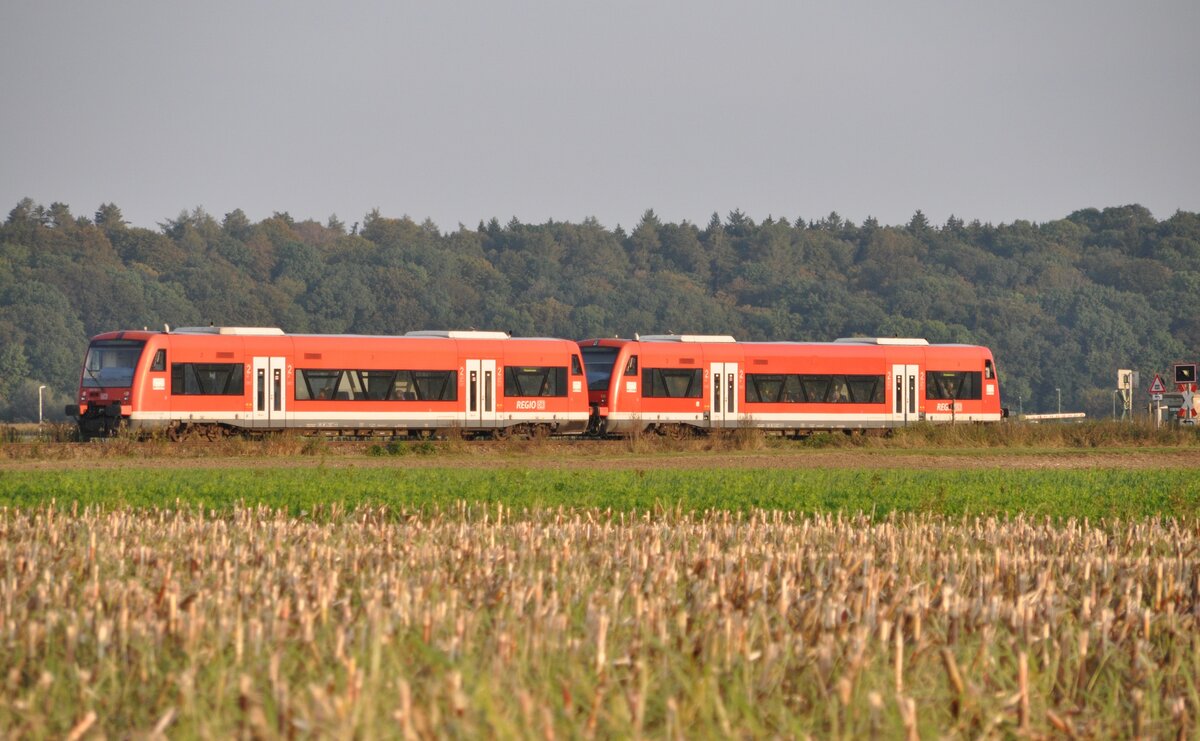 2x 650 in Bellenberg am 27.09.2009.