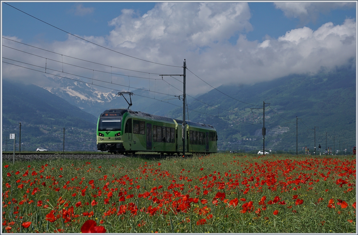 An der gleichen Stelle kurz nach Villy zeigte sich sich kurz darauf der Beh 2/6 543 auf der Fahrt nach Mothey-Ville.
24. Mai 2018