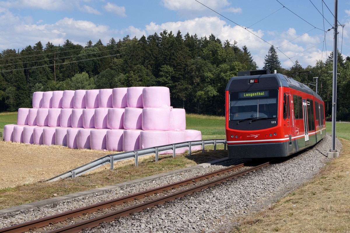 ASm: Mit der ASm unterwegs nach Langenthal am 11. Juli 2015. Der  STAR  Be 4/8 111 beim Passieren der Niederbipper Weierh�he.
Foto: Walter Ruetsch