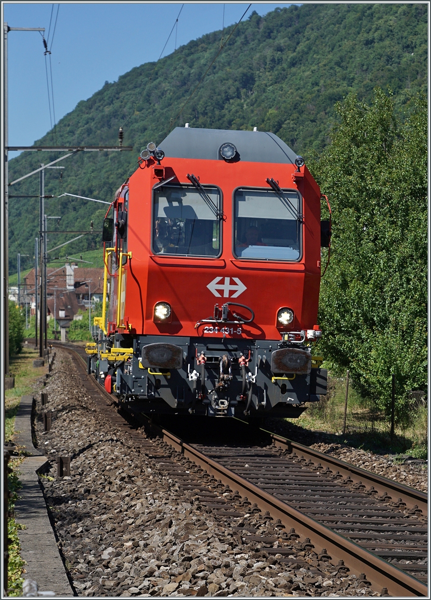 Auf dem letzten verblieben (kurzen) Einspurabschnitt zwischen Ligerz und Twann kurz vor ehemaligen Bahnhof von Ligerz ist der SBB Tm 234 431-5 auf dem Weg in Richtung Biel/Bienne 

11. Juli 2025
