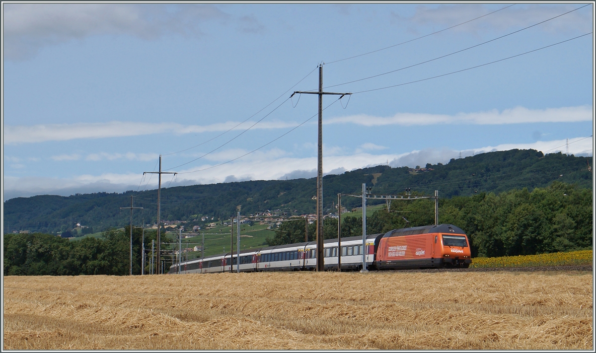 Auf Flughöhe  null : die  easy jet  Re 460 063-1 mit dem IR 1717 von Genève Aéroport nach Brig zwischen Perroy und Allaman.
8. Juli 2015