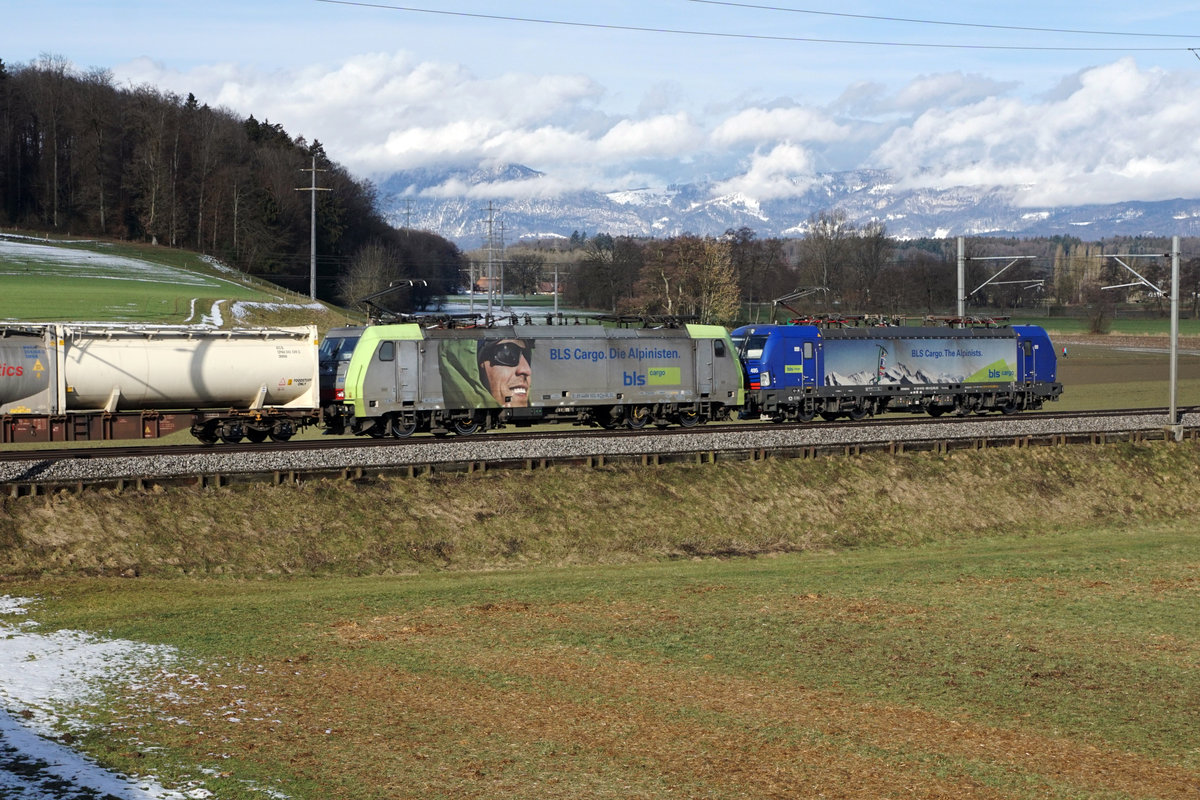 BLS CARGO:
Doppeltraktion bestehend aus zwei verschiedenen Lokomotiven auf der Fahrt in Richtung Deutschland bei Bollodingen am 9. Februar 2019.
Bei den Lokomotiven handelt es sich um die 193 495 und 486 502.
Foto: Walter Ruetsch