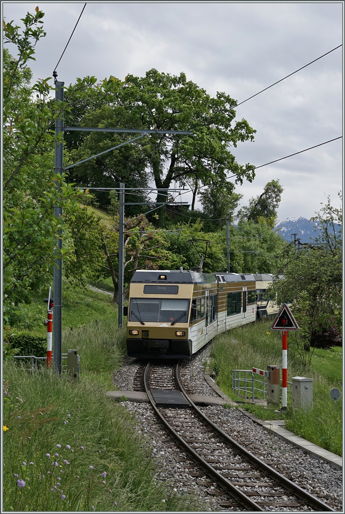 Das strake Fahrgastaufkommen veranlasste die CEV heute Pfingstmontag ihre Züge ausnahmsweise mit zwei GTW zu führen, hier ist der Regioalzug 1434 von Blonay nach Vevey kurz vor St-Légier Gare zu sehen.
16. Mai 2016