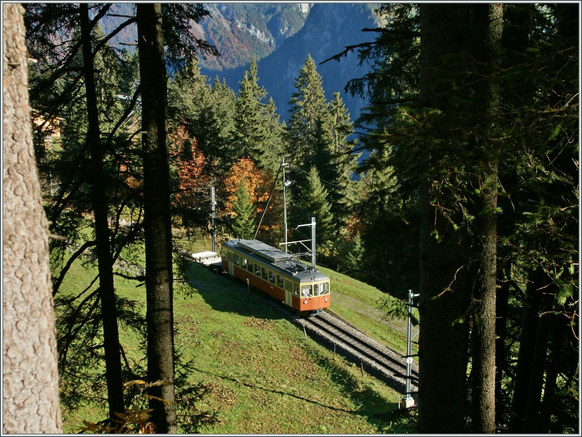 Den Zug geh�rt und dann zur vorher entdeckten Lichtung gespurrtet und das ex Biperlisi (heute BLM Be 4/4 31) hier fotografiert.
24. Okt. 2013