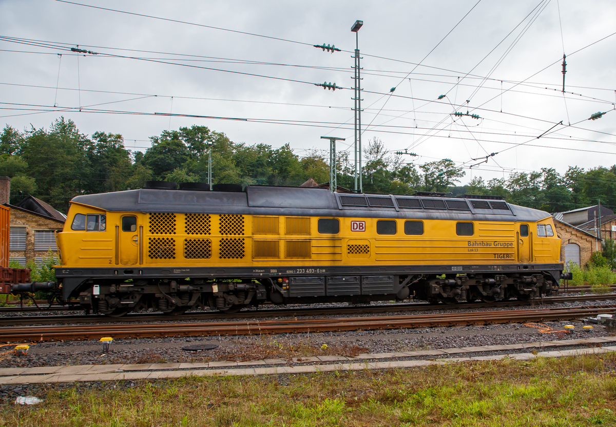 Die 233 493-6  „TIGER“ (92 80 1233 493-6 D-DB) bzw. Lok 13 der DB Bahnbau Gruppe, ex DB 232 493-7, ex DR 132 493-8, fährt am 20.08.2021, mit einem Bauzug (bestehend auch einigen Materialförder- und Silowagen  MSF-100 der MGW Gleis- und Weichenbau) , durch Betzdorf/Sieg in Richtung Köln.

Die remotorisierte  Ludmilla bzw. V 300 wurde 1977 von LTS (Luhanskyj Teplowosobudiwnyj Sawod auch bekannt als Lokomotivfabrik „Oktoberrevolution“  Lugansk (ehemals Woroschilowgrad)) unter der Fabriknummer 0728 gebaut und als 132 493-8 an die Deutsche Reichsbahn (DR) geliefert. Zum 01.01.1992 erfolgte die Umzeichnung in DR 232 493-7 und zum 01.01.1994 dann in DB 232 493-7. Im Jahre 2003 erfolgte dann der  Umbau und Remotorisierung im Ausbesserungswerk Cottbus mit einem neuen Zwölfzylinder-Viertakt-Dieselmotor vom Typ 12D49M, daraufhin erfolgte zum die Umzeichnung in DB 233 493-6. Im Jahr 2014 ging sie von der DB Schenker an die DB Bahnbau Gruppe.

Die Umbau-Baureihe 233:
Im Jahre 2002 begann man mit dem Stabilisierungsprogramm der BR 232, zur Erhöhung der Zuverlässigkeit, Verfügbarkeit und Wirtschaftlichkeit, sowie der Reduzierung der Emissionswerte, der Umbau bestand im Wesentlichen aus:
Die Lok der BR 232 erhielt nun einen direkteinspritzenden V-12-Zylinder-Viertakt-Dieselmotor des russischen Typs Kolomna 12D49M  einer Nennleistung von 2.206 kW und einer maximal eingestellten Traktionsleistung von 1.900 kW ausgerüstet worden. Da der Umbau für den russischen Motor am geringsten war, entschied man sich für den Einbau dieses Motors. Während der Originalmotor ein 16-V-Zylinder-Dieselmotor (Kolomna 5D49) war, ist der neue Motor nur noch ein 12-Zylinder-V- Dieselmotor. Der der neue Motor hat einen Hubraum von 165,6 l gegenüber 220,9 l des alten Motors, die fast gleiche Leistung wird u.a. durch einen höheren Ladedruck erreicht. Dieser wurde von 1,3 bar auf nun 2,1 bar erhöht. Aber auch der Einspritzdruck (Beginndruck 380 bar gegenüber 320 bar) und der max. Verbrennungsdruck (140 bar gegenüber 115 bar) sind entsprechend höher.
Wie auch beim alten Motor können einzelne Zylindergruppen zur Dieseleinsparung bei Nichtbedarf abgeschaltet werden. Insgesamt wurden 65 Lokomotiven mit dem neuen Motor Typ Kolomna 12D49M ausgestattet und zur Unterscheidung als Baureihe 233 bezeichnet, dabei wurden die alten Ordnungsnummern beibehalten. 

Systemänderungen gegenüber dem 5D49 bestehen vor allem im Zweikreiskühlsystem, der Ausstattung mit zwei Ölwärmetauschern und der Notabstellung mittels Notstopp bzw. Luftabsperrklappe.
Die veränderte Lage des Abgasturboladers des 12D49M gegenüber dem 5D49 im Lokkasten erforderte außerdem den Einbau eines gekürzten Schalldämpfers. Weiterhin wurde die Verbrennungsluftanlage auf eine mit vier Papierfiltereinsätzen bestückte einseitige Luftansauganlage umgerüstet. 

TECHNISCHE DATEN der BR 233:
Spurweite: 	1.435 mm (Normalspur)
Achsformel: Co’Co’
Länge über Puffer: 20.820 mm
Achsabstand im Drehgestell:  2 x 1.850 mm (3.700 mm)
Dienstgewicht: 122t
Radsatzfahrmasse:  20,4 t 
Anfahrzugkraft: 294 kN
Dauerzugkraft: 194 kN
Höchstgeschwindigkeit: 120 km/h
Treibraddurchmesser: 	1050 mm
Motorart: direkteinspritzender V-12-Zylinder-Viertakt-Dieselmotor mit Abgasturbolader und Ladeluftkühlung, 4 Ventile pro Zylinder
Motorentyp: Kolomna 12D49M
Motorleistung: 2.206kW (2.999 PS) bei 1.000 U/min
Motorhubraum: 165,6 l
Ladeluftdruck: 2,1 bar
Einspritzbeginndruck: 380 bar
Max. Verbrennungsdruck: 140 bar
Motorgewicht (trocken): 17.750 kg
Leistungsübertragung: elektrisch
Traktionsgeneratortyp: GS-501A
Traktionsgeneratorleistung: 	2.190kW
Traktionsleistung: 1.830 kW (6 x 305 kW)
Anzahl der Fahrmotoren: 6 (á 305 kW)
Fahrmotortyp: ED 118 A
Tankinhalt: max. 6000 l
