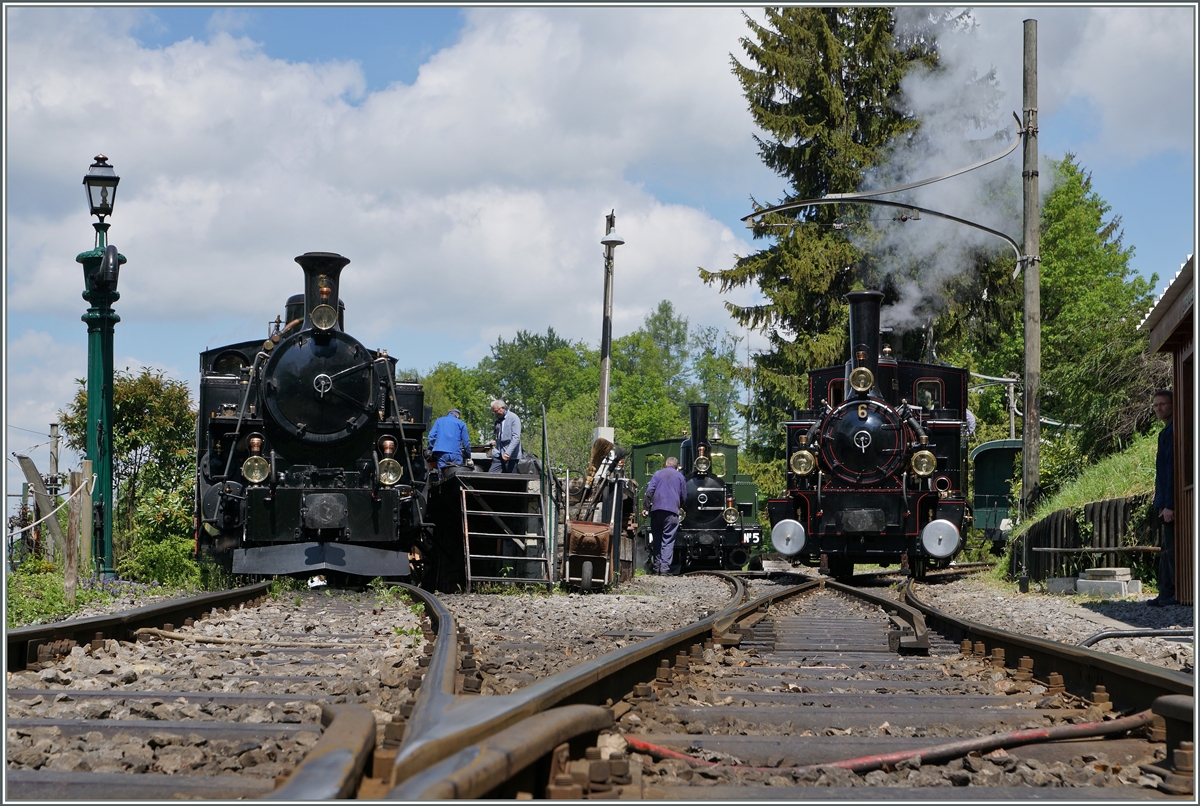 Die BFD HG 3/4 N° 3, die LEB G 3/3 N° 5 und die BAM G 3/3 N° 6 in der Lokbehandlung in Chaulin. 
15. Mai 2016
