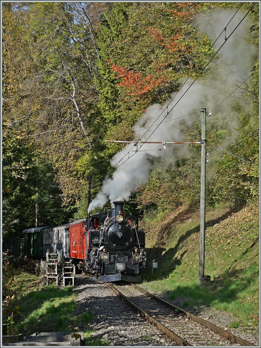 Die BFD HG 3/4 N° 3 der Blonay Chamby Bahn ist mit ihrem Reisezug kurz nach der Bifurcation von Chaulin auf dem Weg nach Chamby.

20. Okt. 2024