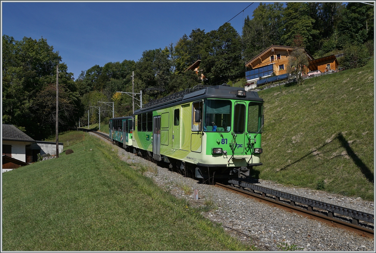 Die BVB TPC Strecke von Bex nach Villars wird meist von den BDeh 4/8 91 - 93 bedient, doch heute war der BDeh 4/4 81 mit dem Bt 63 in einem Umlauf in Einsatz. Das Bild zeigt den BDeh 4/4 81 kurz vor der Ankunft in Les Posses Regionalzug 537 von Villars sur Ollon nach Bex. 

11. Oktober 2021