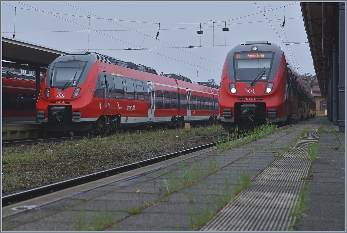Die Hamster 442 338  und 442 346 in Warnemünde. Sie haben vor wenigen Jahren die 143 mit Doppelstockwagen abgelöst und werden ihrerseits bald durch Doppelstocktriebzügen ersetzt.
27. Sept. 2017