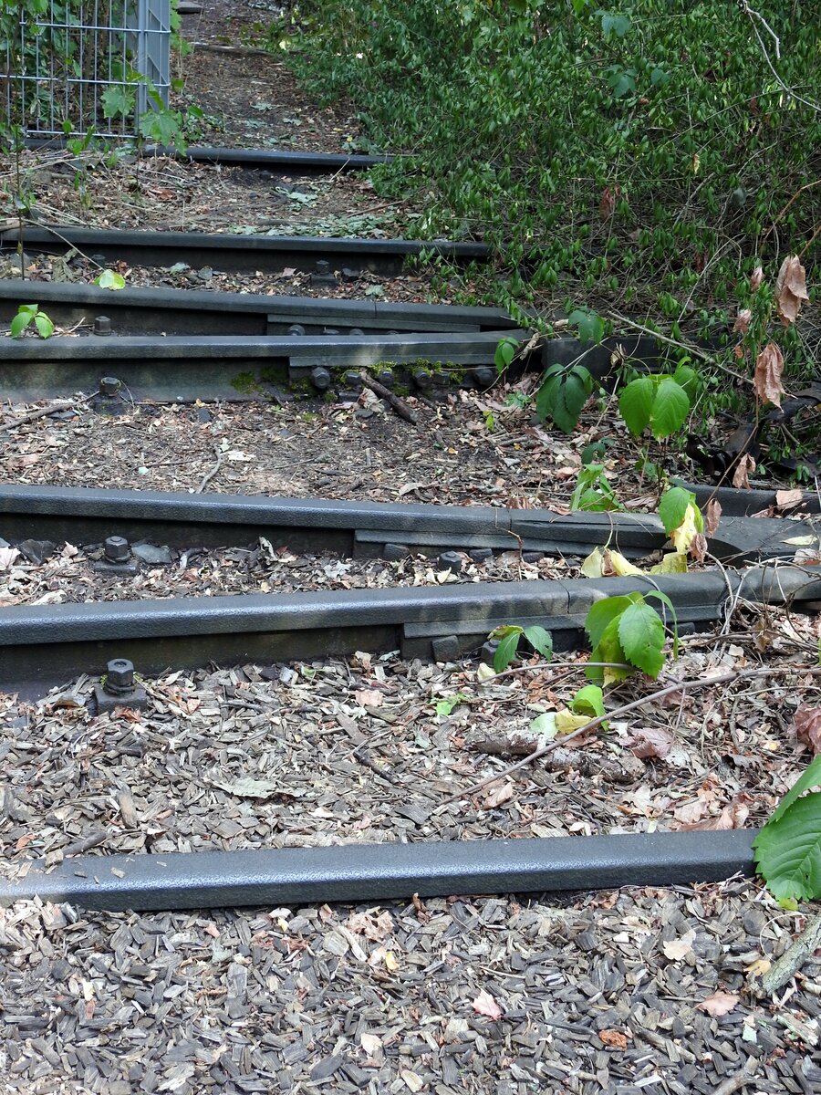 Die Natur erobert sich ihren Bestand im Naturpark Südgelände Berlin, ehemals Verschiebebahnhof Tempelhof zurück. Überwachsene Gleise am 05.09.2018.