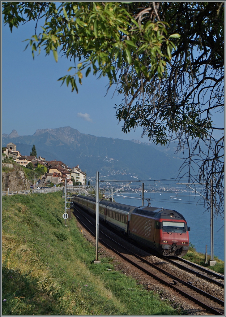Die SBB Re 460 026-8 mit ihrem IR 1732 von Brig nach Genève Aéroport zwischen St-Saphorin und Rivaz.
31. August 2015