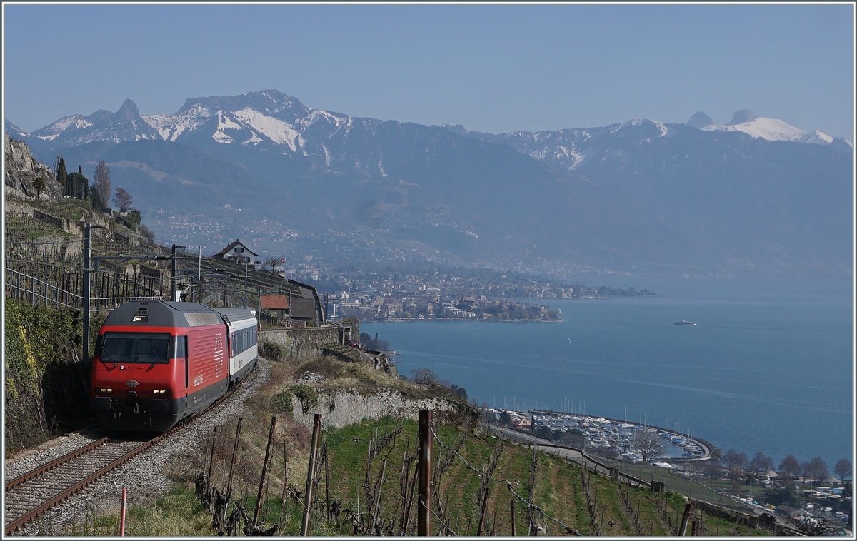 Die SBB Re 460 103-5  Heitersberg  ist mit ihrem RE 30268 von St-Maurice nach Genève Aéroport zwischen Vevey und Chexbres unterwegs. Begünstigt durch den Aufnahmewinkel versteckt sich der Zug praktisch vor sich selbst. 

20. März 2022