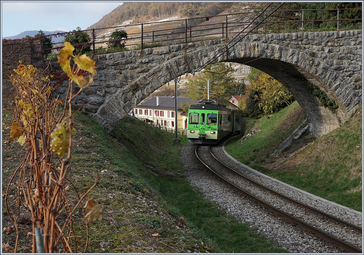 Die Trauben links im Bild sind zwar nicht scharf, aber herrlich s�ss; im Bild zudem der ASD BDe 4/4 404, der mit seinem Bt 432 als ASD Regionalzug 448 kurz nach der Station Aigle Ch�teau (vormals Aigle D�p�t ASD) die Steigung Richtung Verchiez in Angriff genommen hat. 18. Nov. 2018