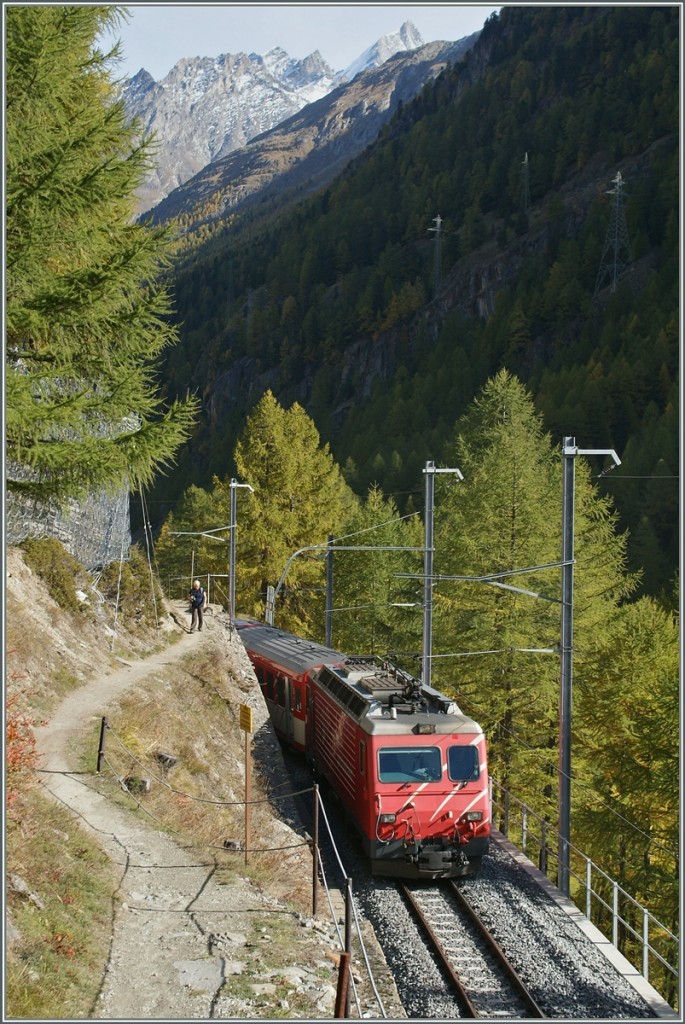 Eigentlich wollten wir wie seit langem geplant, die L�rchen im Graub�nden fotografieren, doch schlechtes Wetter im S�den liessen es uns kl�ger erscheinen, ins Mattertal im Kanton Wallis zu fahren. Obwohl der Wanderweg von T�sch nach Zermatt in der N�he, oder sogar auf der Bahnstrecke verl�uft gibt es ausser im flachen, ersten Teil nur sehr wenige Fotostellen.
Hier ist die HGe 4/4 zu sehen, die in wenigen Minuten ihr Ziel Zermatt erreicht haben wird.
21. Okt. 2013