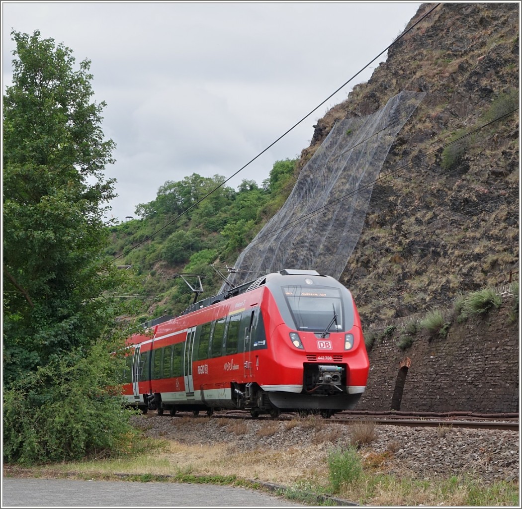 Ein Hamster kommt hinter dem Gebüsch hervor...
(20.06.2015)