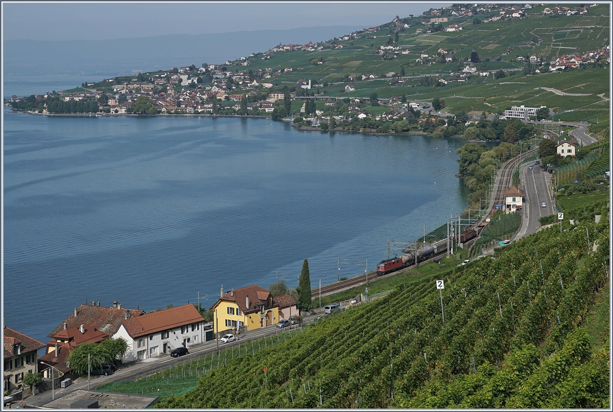 Ein kurzer Güterzug auf der Fahrt Richtung Vevey kurz nach Epesses. 
30. August 2017