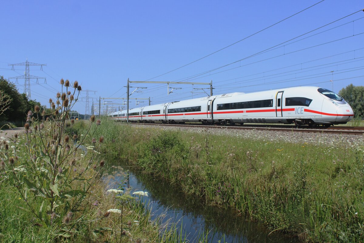 Etwas besonderes auf die Betuwelinie: wegen Bauarbeiten zwischen Utrecht Centraal und Arnhem wurde der ICE Amsterdam--Frankfurt (Main) umgeleitet über die BR und durchfahrt 408 003 den 5 August 2024 Valburg wo sie vom offenbarer Weg fotografiert wurde.