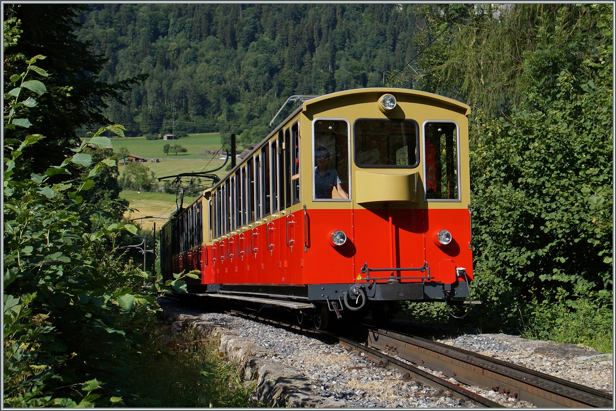Etwas oberhalb von Wilderswil, auf dem BOB Bahnwanderweg konnte der SPB Zug 651 abgelichtet werden. 
12. Juli 20015