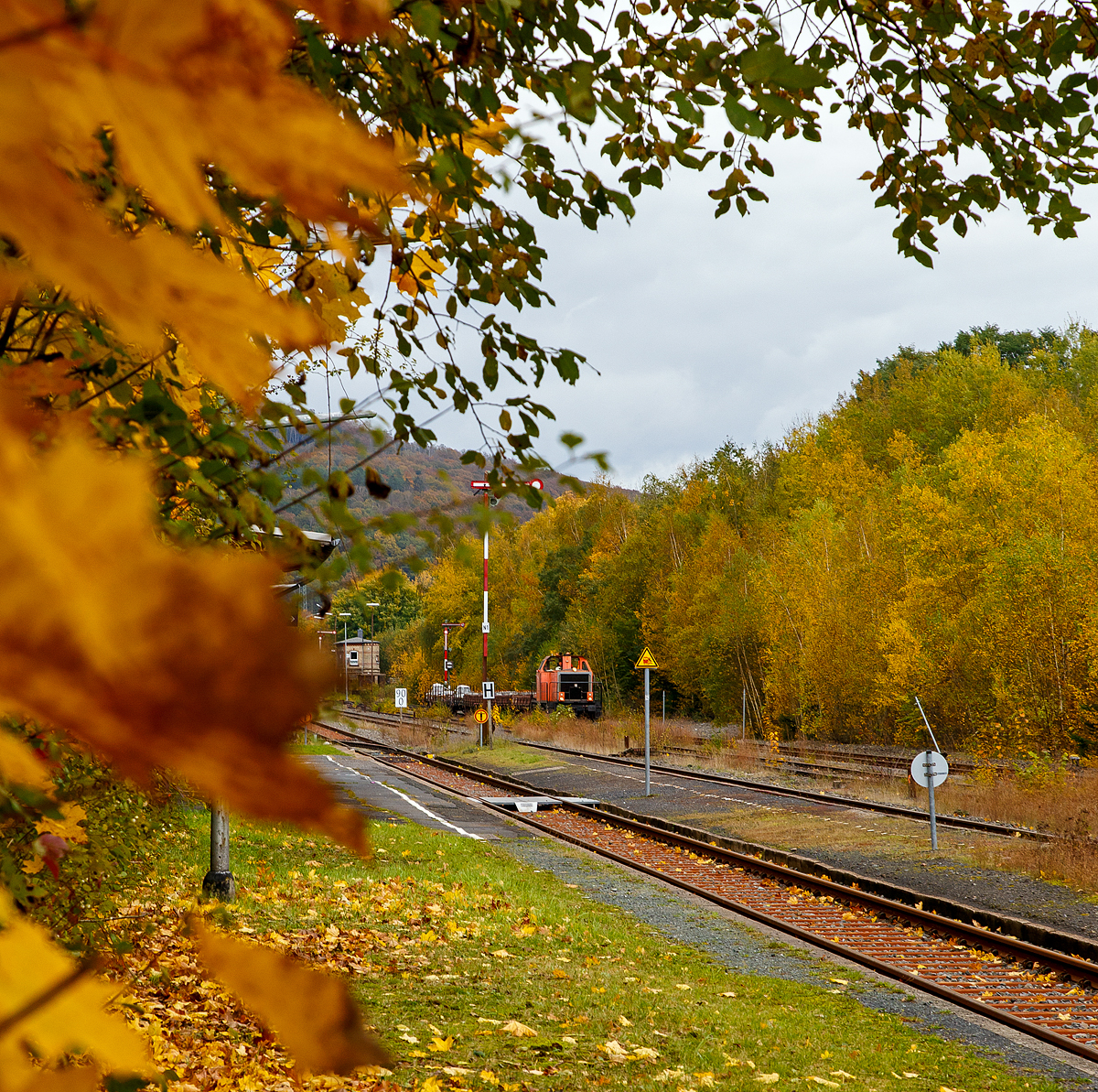 Herbstzeit in Herdorf....
Die BBL 15 alias 214 026-7 (92 80 1214 026-7 D-BBL) der BBL Logistik GmbH, ex 212 288-5, ex DB V 100 2288, hat am 23.10.2021 einen Zug mit Gleisbaumaterial in den Bahnhof Herdorf gebracht. Nun wartet sie noch aufs Abladen.

Hinten das Weichenwärter-Stellwerk Herdorf Ost (Ho).