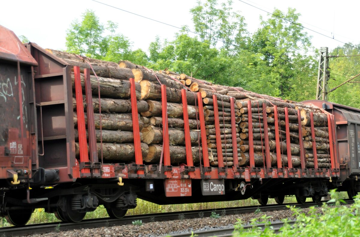 Holztransportwagen Roos-t 642 in Ulm am 01.09.2010.