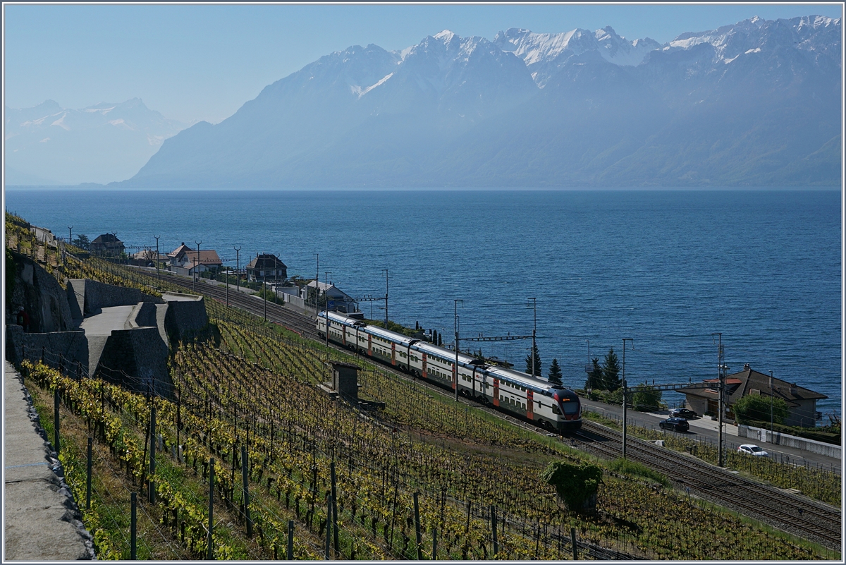 Im Gegenlicht fährt ein SBB RABe 511 als RE zwischen Vilette VD und Cully Richtung Vevey.
29.04.2017