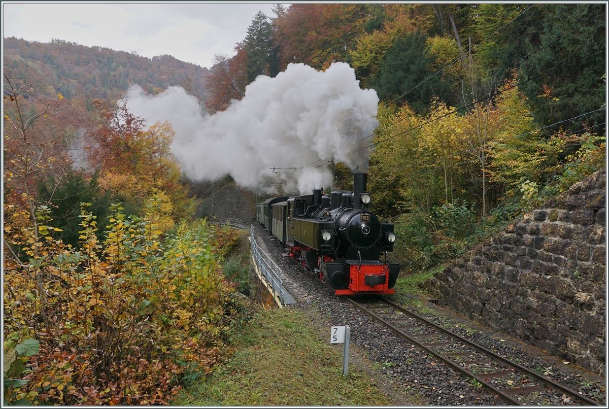 La DER 2021 du Blonay-Chamby - Die Blonay-Chamby G 2x 2/2 105 ist ihrem Zug aus grünen Wagen in der Baye de Clarnes Schlucht bei Kilometer 7.6 unterwegs und wird in Kürze Cornaux erreichen. Bei dem eher kühlen Wetter gab es herrliche Rauchfahnen. 

30. Oktober 2021