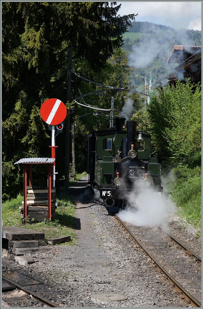 Nach dem Abstecher nach Chamby schieben die LEB G 3/3 N° 5 und die BAM G 3/3 6 ihren Zug nach Chaulin.
15. Mai 2016