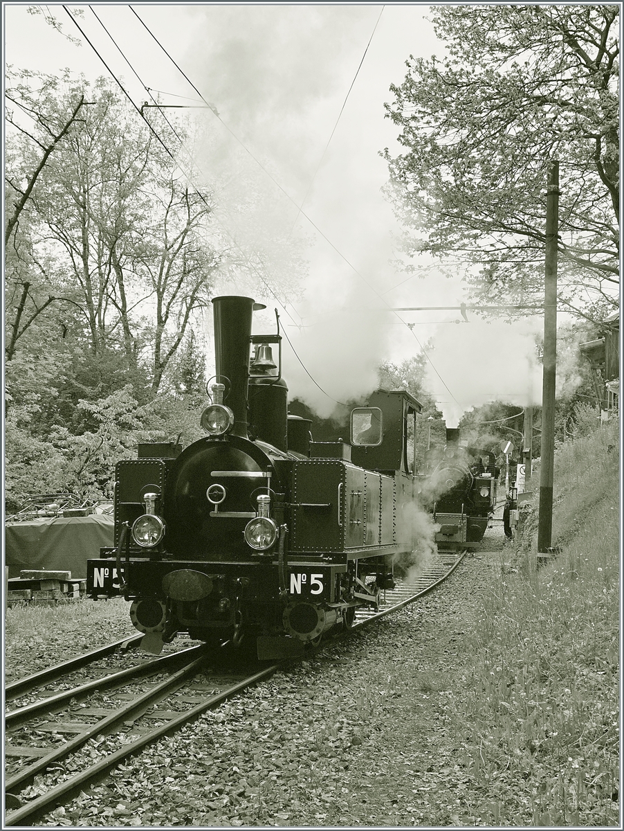 Nostalgie & Vapeur 2021  /  Nostalgie & Dampf 2021  - Nachdem die G 2x 2/2 105 (verdeckt im Hintergrund) ihre Vorräte ergänzt hatte, fährt sie wird sie in den Bahnhof von Chaulin zurück und lässt den Platz der schon wartenden G 3/3 N° 5 (ex LEB). 

24. Mai 2021