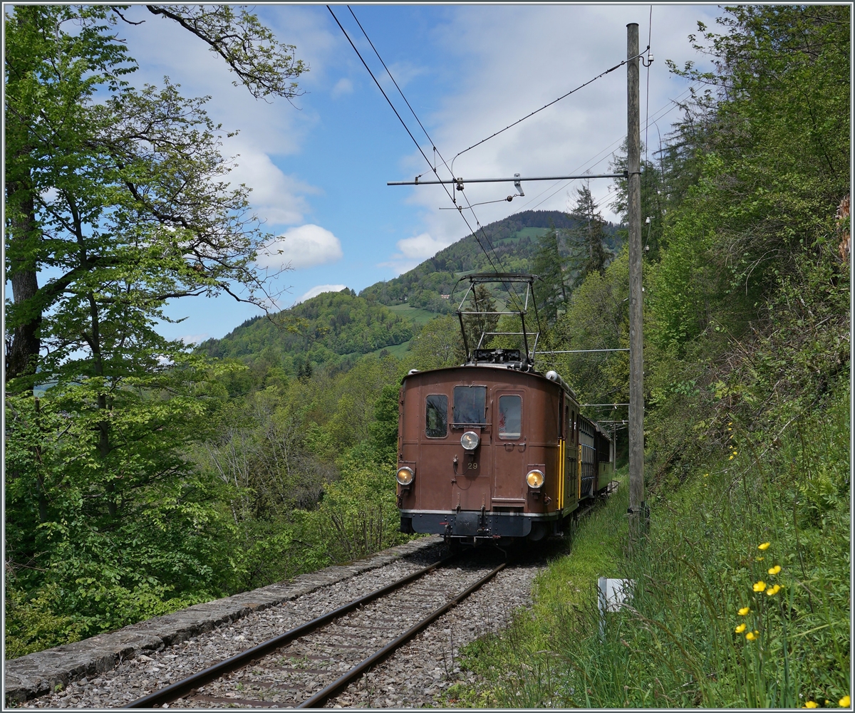 Nostalgie & Vapeur 2021  /  Nostalgie & Dampf 2021  - Da die Züge von Blonay nach Chaulin jeweils bis Chamby fahren und somit den kurzen Streckabschnitt Chaulin Abzweigung  - Chamby zweimal befahren ergeben sich pro Zug auf zwei Fotomöglichkeiten welche ich hier mit der BOB HGe 3/3 29 umsetzte: Auf dem ersten Bild ist die BOB HGe 3/3 kurz vor der Ankunft in Chamby zu sehen. 

22. Mai 2021