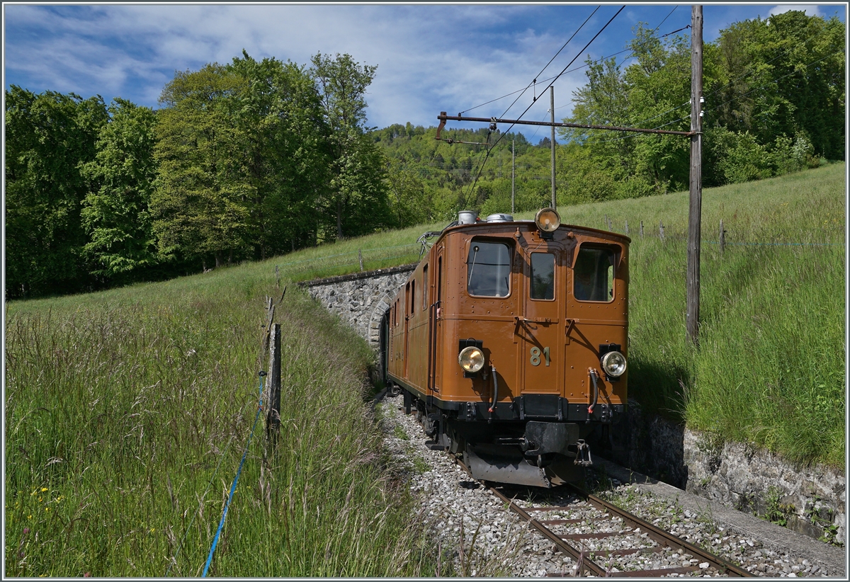 Nostalgie & Vapeur 2021  /  Nostalgie & Dampf 2021  - so das Thema des diesjährigen Pfingstfestivals der Blonay-Chamby Bahn. Die Bernina Bahn RhB Ge 4/4 81 der Blonay-Chamby Bahn verlässt den 45 Meter langen Tunnel Cornaux, welcher die Strecke von der Baye de Clarens kommend wieder auf die aussichtsreiche Seite der Riviera Vaudoise führt. 

23. Mai 2021