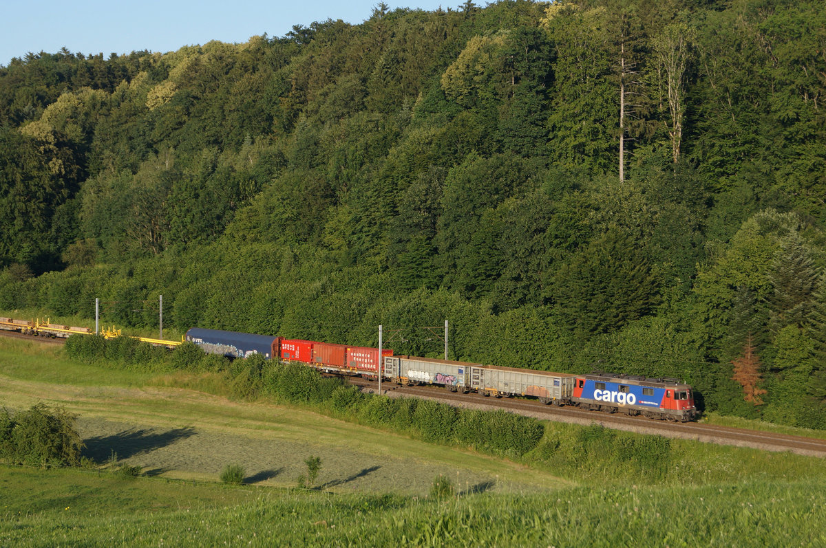 Re 420 mit dem alltäglichen Güterzug RBL-Solothurn unterwegs bei Niederbipp am 24. Juni 2020.
Foto: Walter Ruetsch
