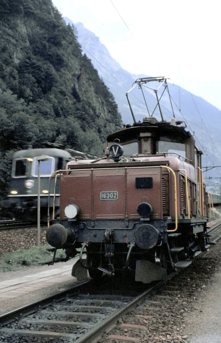 SBB Ee 3/4 Nr.16 302 mit vorbeifahrender Ae 6/6 auf der Gotthardstrecke bei Erstfeld am 21.09.1981.