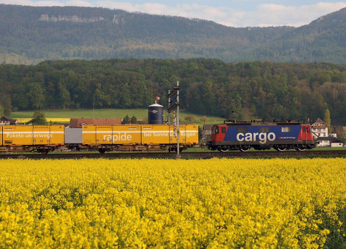 SBB: Postzug in zu den Postcontainern passenden Umgebung bei Niederbipp mit einer Re 421 auf der Fahrt nach H�rkingen am 3. Mai 2016.
Foto: Walter Ruetsch