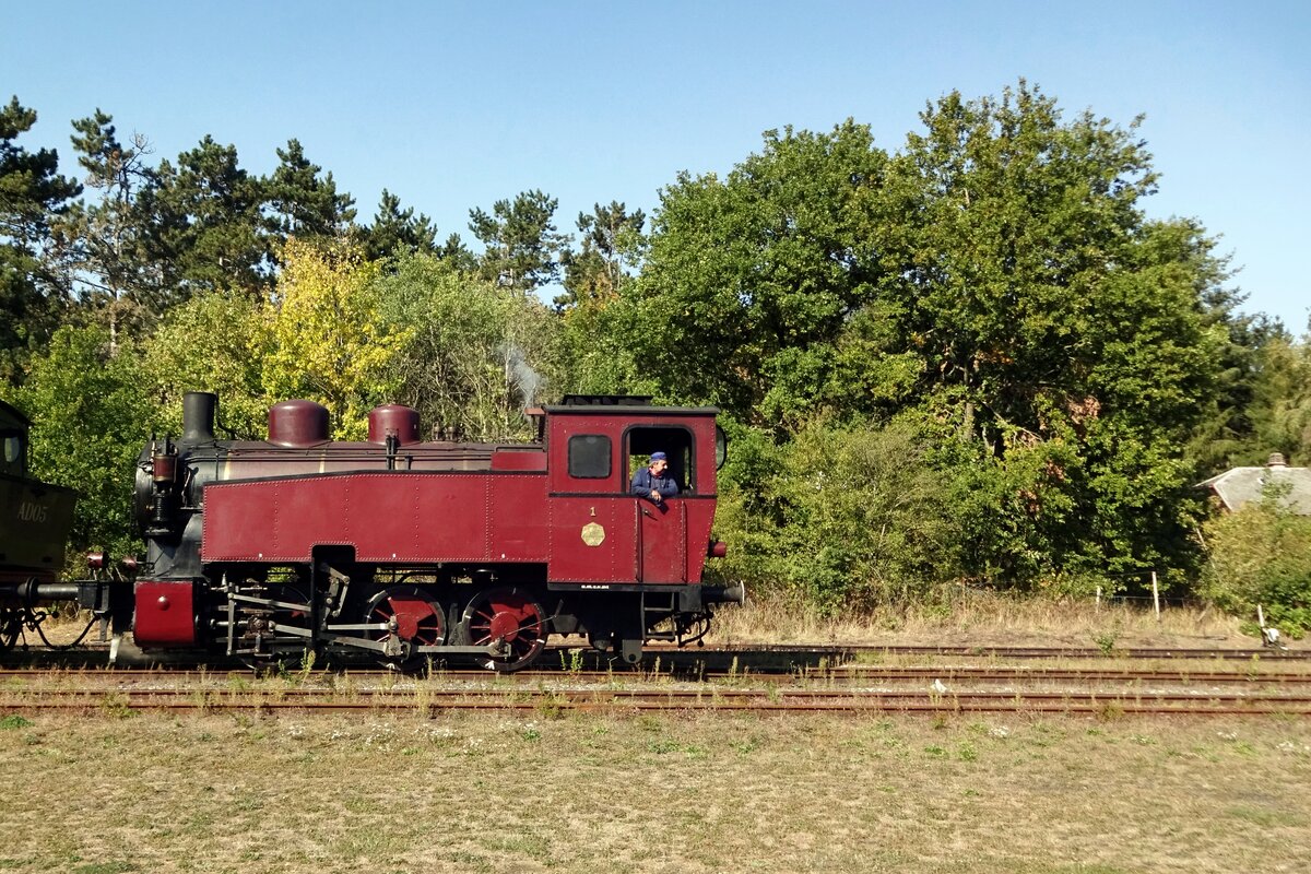 Seitenblick auf SA-01 in Treignes am 21 September 2019. In 1945 lieferte AFB diese Dreikuppler an die Kohlebau SAFEA Houdeng-Goegnies (deswegen SA als kürzel für die nahme der Meinbau) als Standardlok für Meinbaubahnen in Belgien. Nach das Ende des Kohlwebaus in Belgien in 1983 gingen die meiste auf den Schrottplatz, einigen konnten jedoch gerettet werden und die CFV3V ist ein wahres Refugium für diese Dreikuppler geworden.