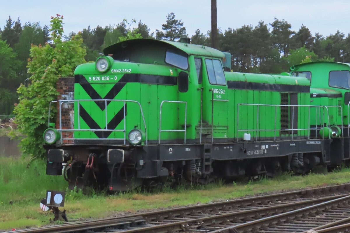 Tr�b war der 7.Mai 2024 in Rzepin wann SM42-2542 dort vom Bahnsteig fotografiert wurde.