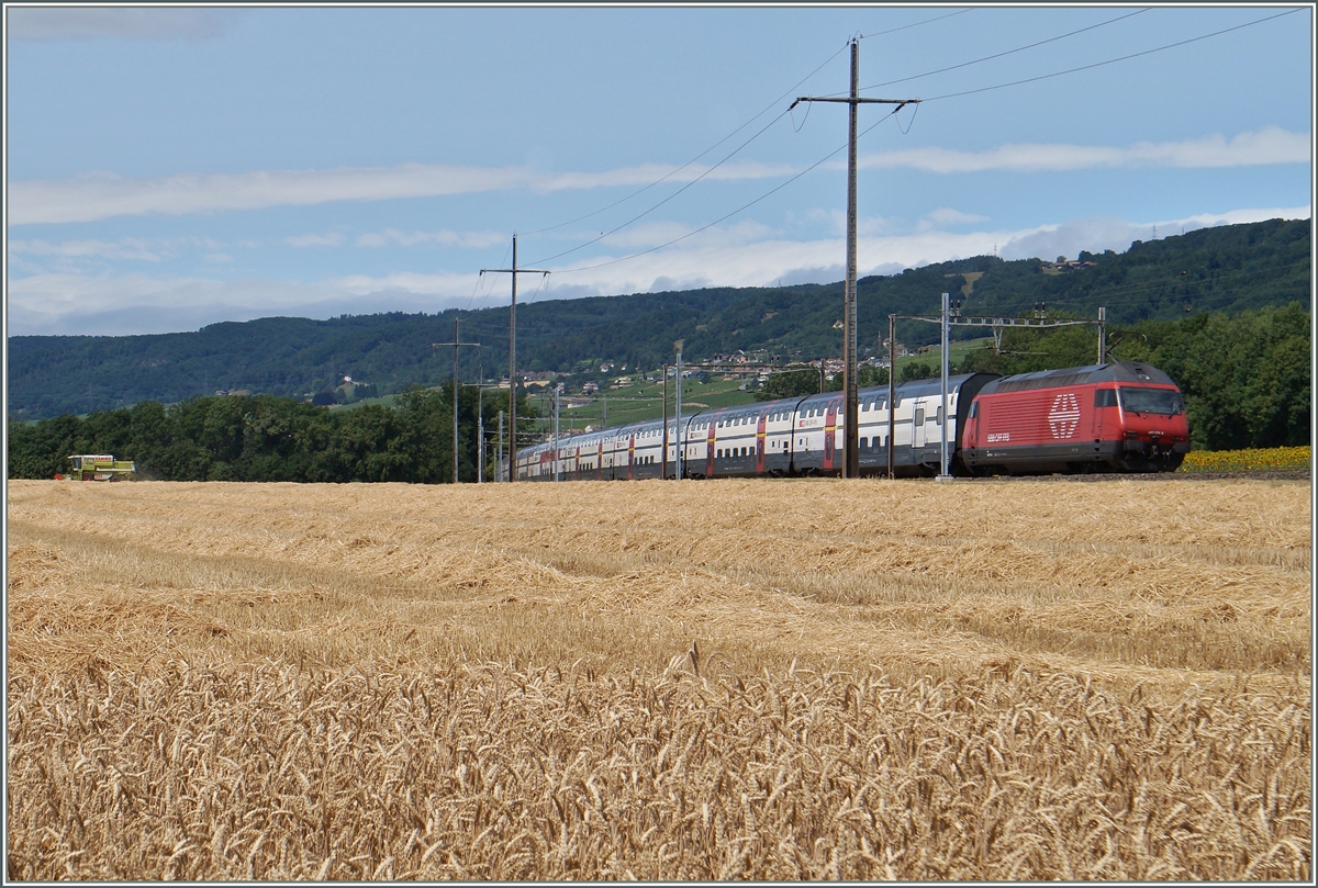 Während eine Re 460 ihren IC 712 Richtung Genève schiebt, ist ganz links im Bild ein Mähdrescher mit Erntearbeiten beschäftigt. 
Zwisachen Allaman und Perroy, den 8. Juli 2015