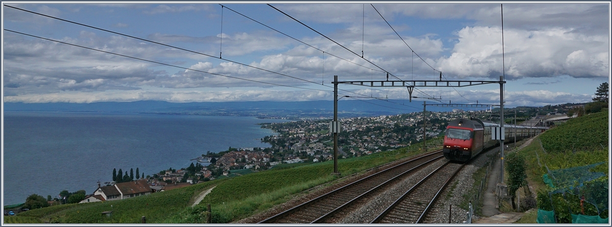 Zwischen Bossière und Grandvaux fährt eine Re 460 mit ihrem IC Richtung Bern. 
6. Sept. 2017