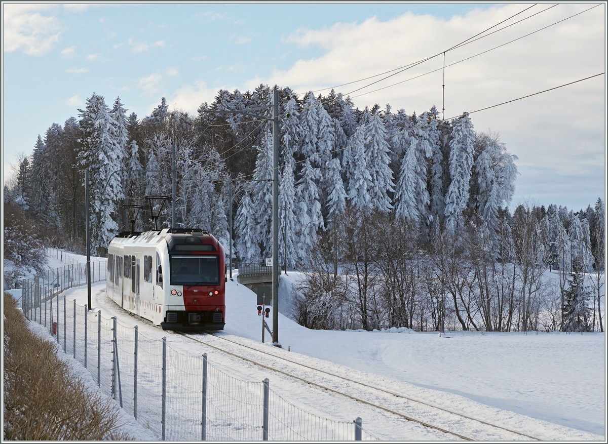 Zwischen Vaulruz Sud und La Verrerie ist der tpf SURF ABe 2/4 - B - Be 2/4 auf dem Weg von Bulle nach Palézieux und konnte vor dem Hintergrund der Schneebedeckten Tannen vom Autobahnparkplatz fotografiert werden. 

23. Dez. 2021
