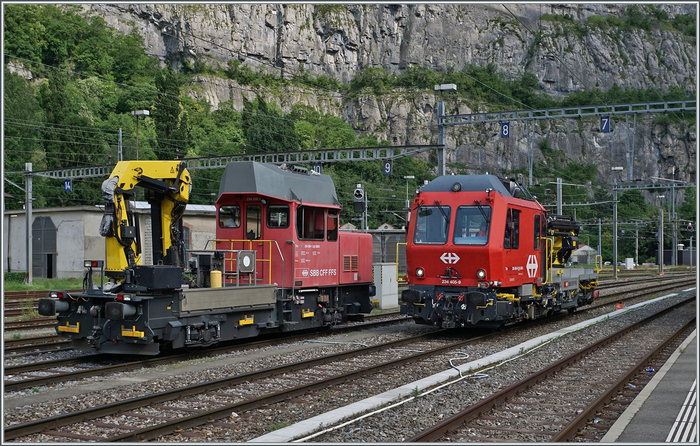 Da ich mich vor kurzem in der Kategorie der Tm 234 geirrt habe, sorgte ich nun vor: das Bild zeigt auf einen Blick gleich beide Tm 234 Bauarten: Links im Bild der Tm 234 206  Ameise  (UIC Tm 98 85 5 234 206-1 CH-SBBI) und rechts der Tm 234 405  Dart  (UIC Tm 98 85 5 234 405-9 CH-SBBI). 
Das Bild entstand in St-Maurice. 

16. Juni 2025