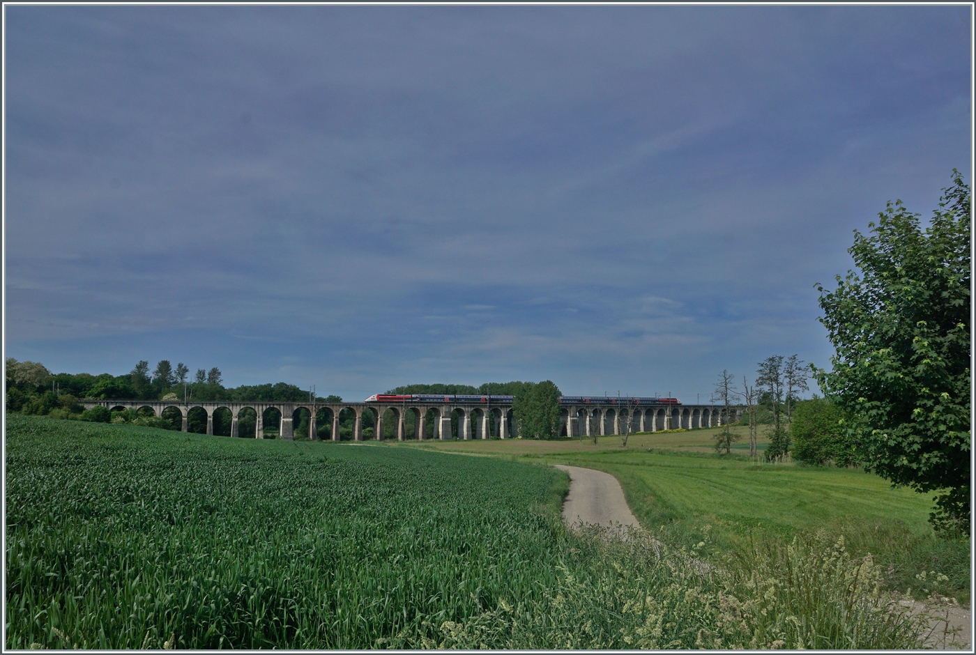 Der Lyria TGV 9203 von Paris nach Zürich überquert kurz nach Dannemarie den 380 Meter langen Viaduc de Ballerdorf. Der Viadukt wurde 1857 gebaut und verband Dannemarie mit Basel. 

19. Mai 2022 