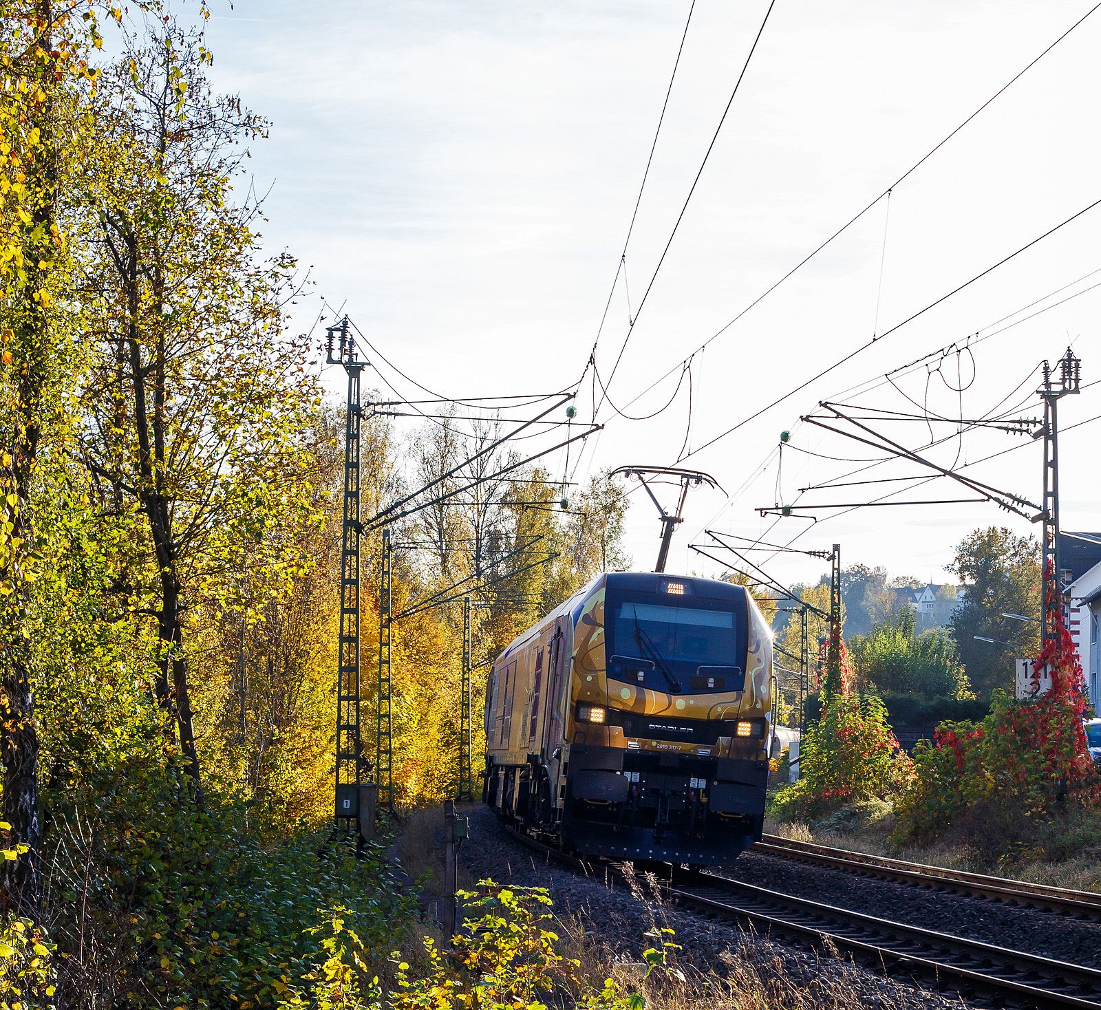 Die fast noch Fabrikneue, gerade mal sechs Wochen alt, und an die dispo-Tf Rail GmbH (Berlin) vermietete Stadler EURO 9000 der ELP - European Loc Pool AG (Frauenfeld/CH) 2019 317-7 (90 80 2019 317-7 D-ELP) fährt am 26 Oktober 2024, mit einem Zuckerzug (VTG Wagen der Gattung Uagnpps), durch Kirchen (Sieg) in Richtung Siegen. Vermutlich ist sie hier an die RTB CARGO GmbH (Düren) untervermietet.

Die Stadler EURO 9000 eine Co'Co'- DualModeLok wurde 2024 von Stadler Rail Valencia S.A.U. in Albuixech (Spanien) unter der Fabriknummer 4339 gebaut und am 18.09.2024 an die ELP - European Loc Pool AG in Frauenfeld (CH) ausgeliefert. Seit dem 18.09.2024 ist sie auch an die dispo-Tf Rail GmbH (Berlin) vermietet.

