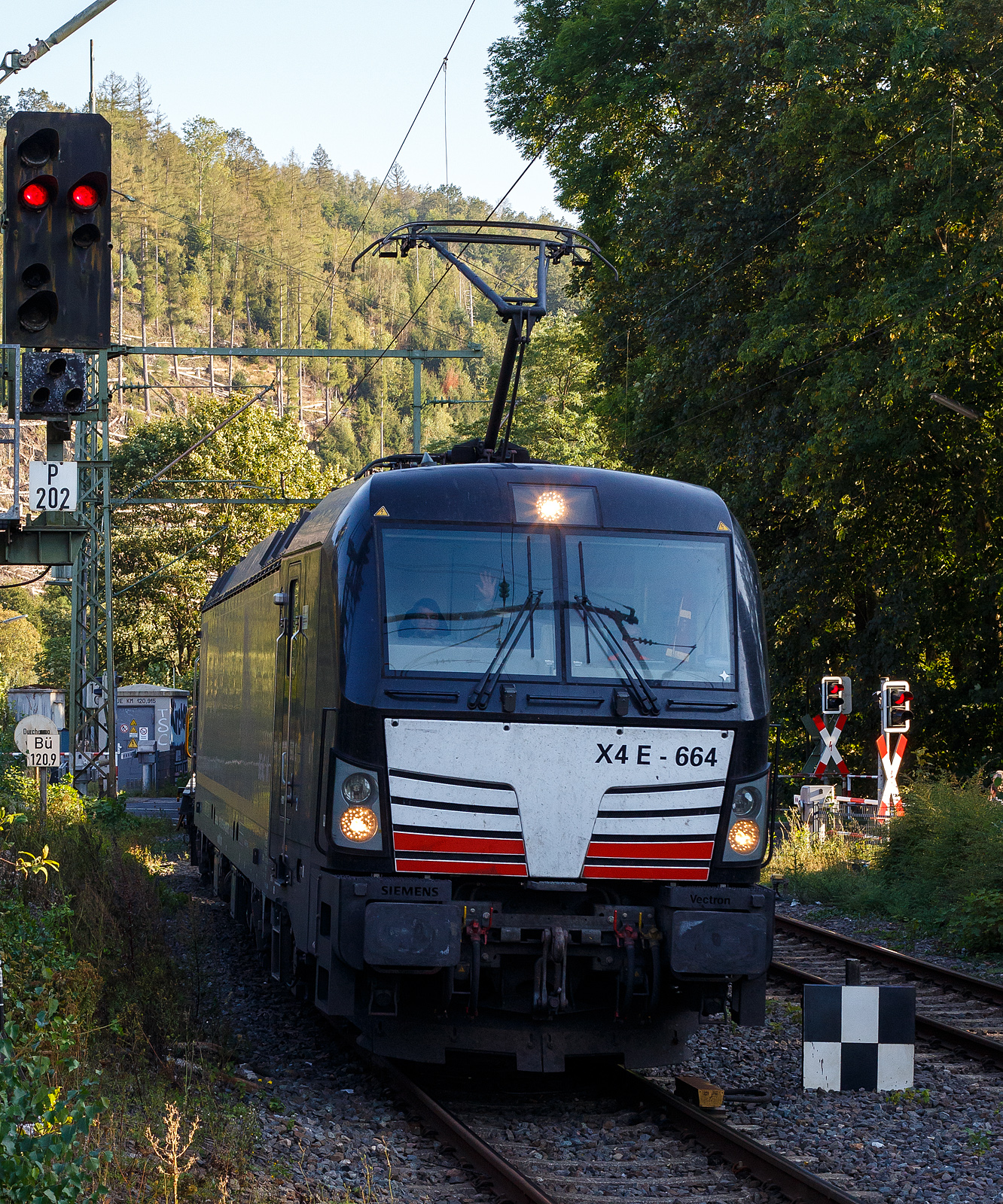 Die SIEMENS Vectron MS X4E – 664 / 193 664-0 (91 80 6193 664-0 D-DISPO) der BRCE - Beacon Rail Capital Europe (München) fährt am 17 September 2024 mit einem KLV-Zug durch den Bahnhof Kirchen (Sieg) in Richtung Siegen. Nochmals einen lieben Gruß an den freundlichen Lokführer zurück.

Die Multisystemlokomotive Siemens Vectron MS wurde 2017 von Siemens Mobilitiy in München-Allach unter der Fabriknummer 22244 gebaut. Sie wurde in der Variante A09 (Zulassungen für D / A / I) ausgeführt. Im Jahr 2022 erfolgte bie Siemens in München-Allach der Umbau in die Variante A22 und hat so die Zulassung für Deutschland, Österreich, die Schweiz, Italien und die Niederlande (D / A / CH / I / NL). So besitzt die Variante MS A22 folgende Zugsicherungssysteme: ETCS BaseLine 3, sowie für Deutschland (PZB90 / LZB80 (CIR-ELKE I)), für Österreich (ETCS Level 1 mit Euroloop, ETCS Level 2, PZB90 / LZB80), für die Schweiz (ETCS Level 2, ZUB262ct, INTEGRA), für Italien (SCMT) und die Niederlande (ETCS Level 1, ETCS Level 2, ATB-EGvv)

Die Lok wurde an die MRCE - Mitsui Rail Capital Europe GmbH in München ausgeliefert, seit September 2023 hat die Beacon Rail Metro Finance B.V. die Mitsui Rail Capital Europe B.V. (Amsterdam) und somit auch die Mitsui Rail Capital Europe GmbH im München übernommen, so firmiert sie nun als Beacon Rail Capital Europe GmbH, München (BRCE / DISPO).